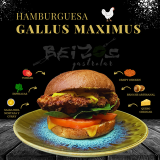 gallus maximus