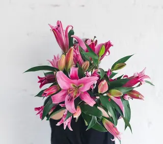 Giglio rosa