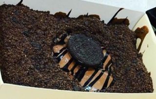 Poffertjes Nutella Oreo