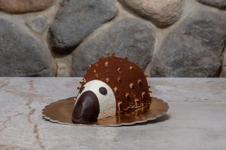 Riccio piccolo  4/5  persone