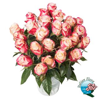 Bouquet di rose screziate rosa