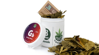 Ginko Bilboa do Aromaterapii