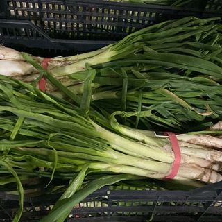 Manojo de 25 calcots con salsa