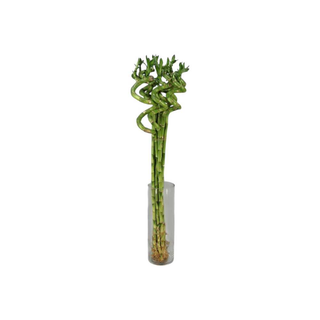 Haste Bambu em Espiral