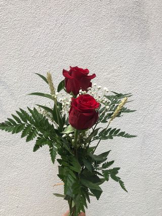 2 Rosas Rojas