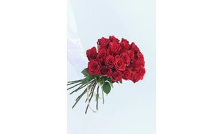 წითელი ვარდები