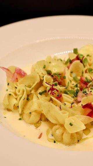 Fagottis