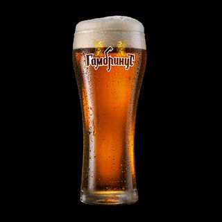 Пиво Гамбринус Хмільне 4.9% (1л) м. Одеса