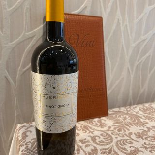 Pinot Grigio Delle Venezie 2022 (Veneto)