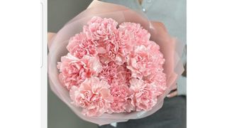 ვარდისფერი მიხაკები