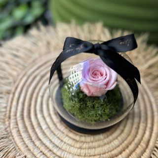 Cloche rose éternelle Rose 