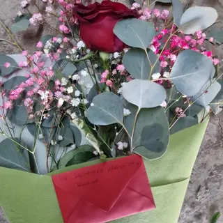 Rosa one 