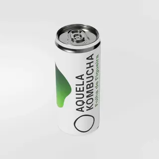 Aquela Kombucha Folha de Figueira - 12x 25cl (latas)