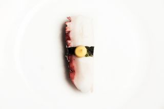 Nigiri Polpo