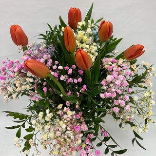 030-TULIPANES NARANJAS Y PANI DE COLORES