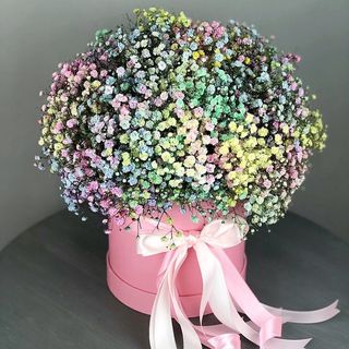 ფერადი გიფსოფილა (Large)