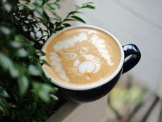 Подвійний капучино (300мл)