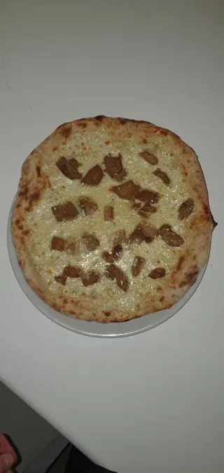 Porcini
