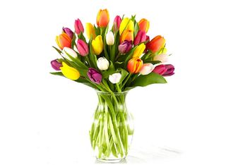 Микс лалета 27 бр