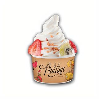 Auténtico Yogurt Helado Italiano (500 ml.)