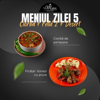 OFERTA MANCARE GATITA 5