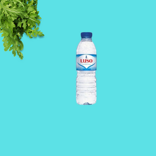 Água 33cl