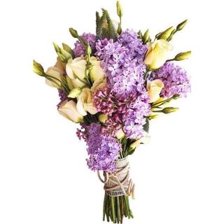 იასამანი ეუსტომა