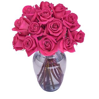 Trandafir Pink Floyd