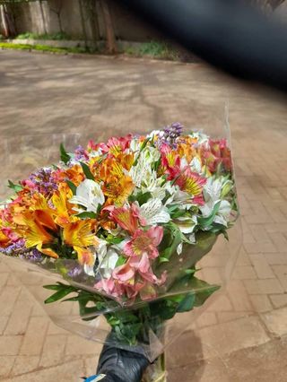 Nature's Harmony:A vibrant Bouquet of fresh alstroemeria flowers 