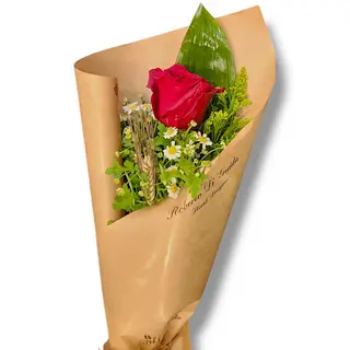 Rosa rossa extra