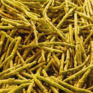 Tagliata di tonno con asparagi di mare