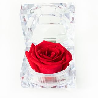 Rosita mini eterna en cajita  diamante