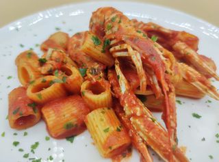 Mezze maniche con scampi