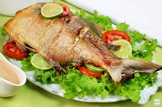 Dourada Grelhada 