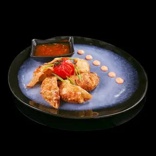 Gyoza de pui