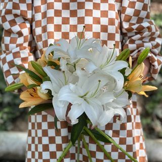 ლილია ფერადი ( 5 ცალი )