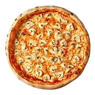 Funghi