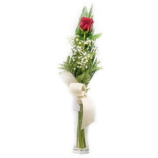 Rosa Individual TQM