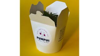 BOX Yellow Udon kurczak