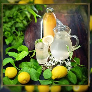 Домашен сок бъз (500мл)