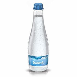 Apă Minerală Dorna 0.33l