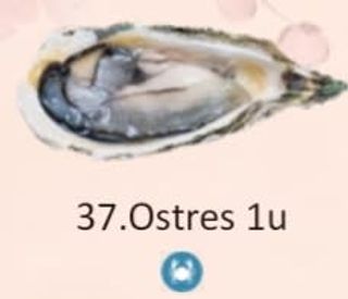 37. Ostres (2 Uds.)