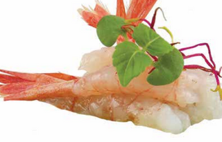 27 Carpaccio di amaebi