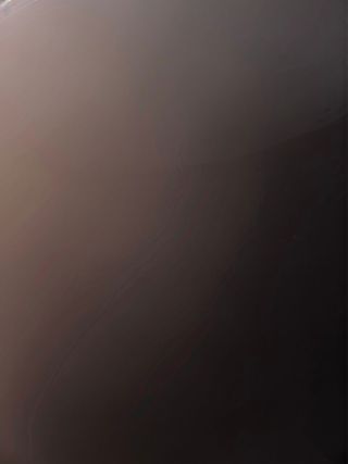 pollo con salsa picante