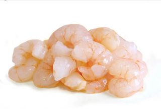 Cola Gamba Extra L (500gr)