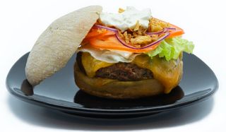 Burger Sportster (165 G.)