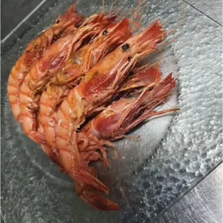 Gamba roja alistada (1/4)