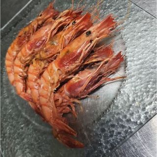 Gamba roja alistada (1/4)
