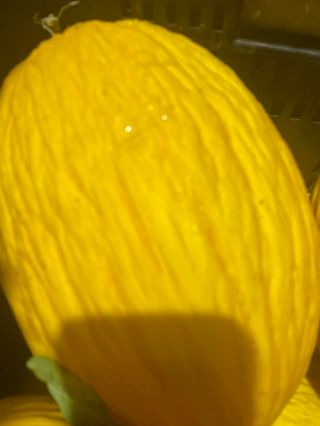 Melone giallo intero - brasiliano