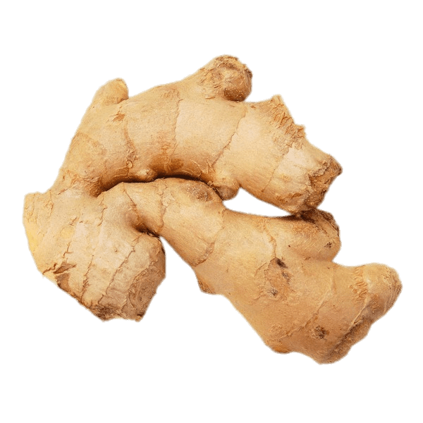 Jengibre